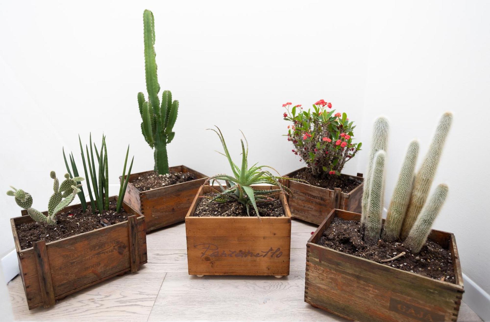 Apartamento San Niccolo Walls Garden